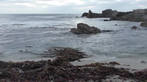 Onde Calme Che Schizzano Riva Con Erba Marina Dell Isola — Video Stock