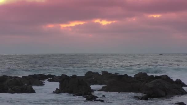 Calm Waves Splashing Ocean Shore Bright Purple Sunset Sky Background — Stock Video