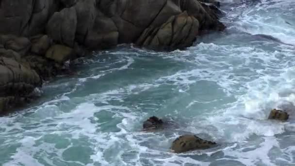 Costa Rochosa Vulcânica Acidentada San Cristobal Ilha Chatham Ilha Mais — Vídeo de Stock