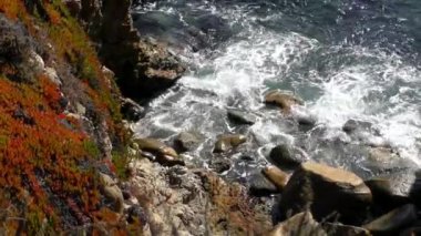 Kaliforniya Garrapata Eyalet Parkı 'ndaki kayalara vuran dalgaların videosu.