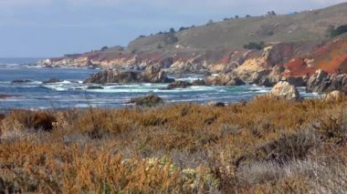 Kaliforniya, ABD 'deki Garrapata Eyalet Parkı' nın sahil şeridi ve bitki örtüsündeki görüntüler.