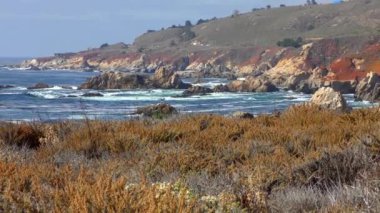 Kaliforniya, ABD 'deki Garrapata Eyalet Parkı' nın sahil şeridi ve bitki örtüsündeki görüntüler.