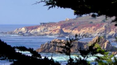 Kaliforniya Garrapata Eyalet Parkı 'ndaki ağaçların arasından kıyıya bak.