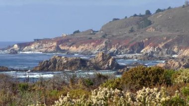 Kaliforniya Garrapata Eyalet Parkı 'nın sakin dalgaları ve bitkileri, ABD