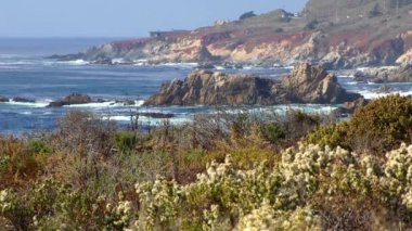 Kaliforniya Garrapata Eyalet Parkı 'nın sakin dalgaları ve bitkileri, ABD