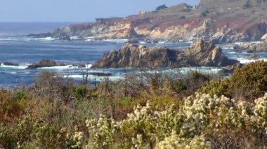 Kaliforniya Garrapata Eyalet Parkı 'nın sakin dalgaları ve bitkileri, ABD