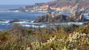 Kaliforniya Garrapata Eyalet Parkı 'nın sakin dalgaları ve bitkileri, ABD