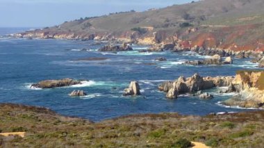 Pasifik Okyanusu Garrapata Eyalet Parkı 'nda Kaliforniya' nın merkez kıyısı boyunca, ABD, 2018