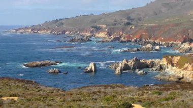 Pasifik Okyanusu Garrapata Eyalet Parkı 'nda Kaliforniya' nın merkez kıyısı boyunca, ABD, 2018