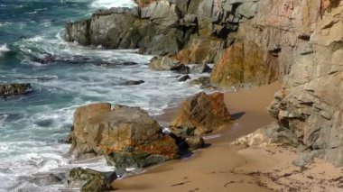 Pasifik Okyanusu Garrapata Eyalet Parkı 'nda Kaliforniya' nın merkez kıyısı boyunca, ABD, 2018