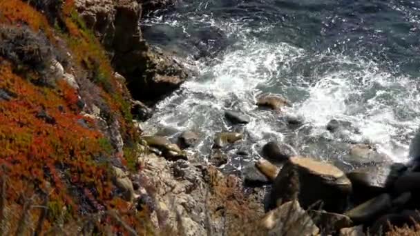 캘리포니아주가 공원에 바위에 부딪치는 파도의 — 비디오