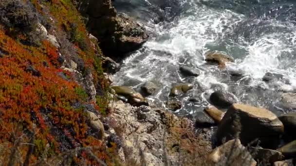 캘리포니아주가 공원에 바위에 부딪치는 파도의 — 비디오
