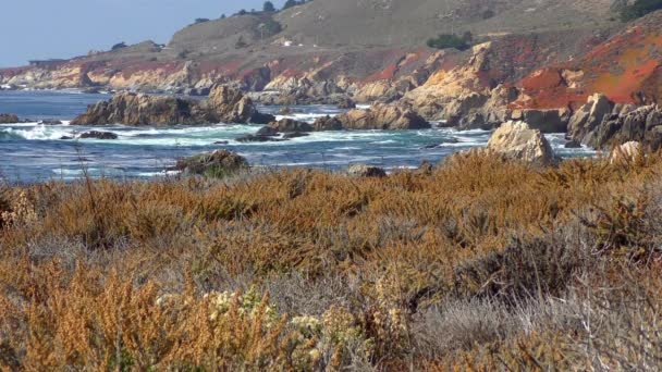 カリフォルニア州のガラパタ州立公園の海岸線と植物の景色のビデオ — ストック動画