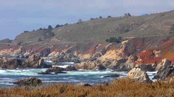 Vídeo Vistas Sobre Costa Flora Garrapata State Park Califórnia Eua — Vídeo de Stock