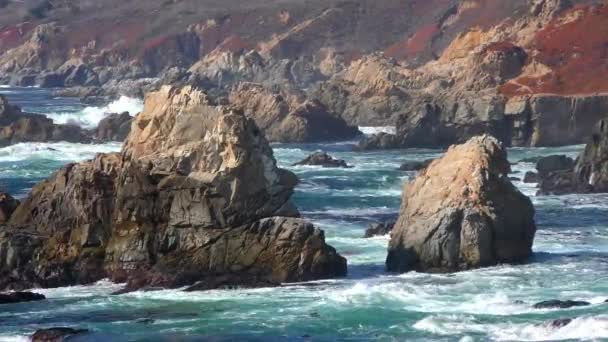 Pacific Ocean Garrapata State Park California Central Coast Usa 2018 — Stock Video