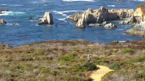 2018 Pacific Ocean Garrapata State Park Californias Central Coast Usa — 비디오