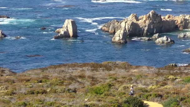 Pacific Ocean Garrapata State Park California Central Coast Usa 2018 — Stock Video