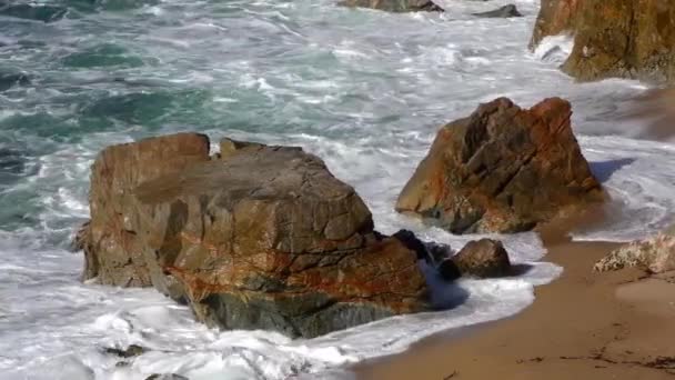 Тихий Океан Парку Штату Гаррапата Вздовж Центрального Узбережжя Каліфорнії Сша — стокове відео