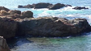 Pasifik Okyanusu Garrapata Eyalet Parkı 'nda Kaliforniya' nın merkez kıyısı boyunca, ABD, 2018