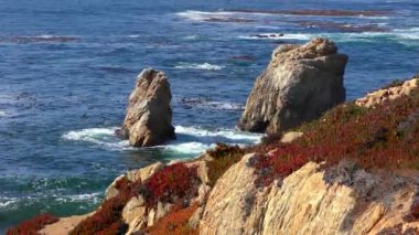 Pasifik Okyanusu Garrapata Eyalet Parkı 'nda Kaliforniya' nın merkez kıyısı boyunca, ABD, 2018