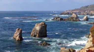 Pasifik Okyanusu Garrapata Eyalet Parkı 'nda Kaliforniya' nın merkez kıyısı boyunca, ABD, 2018