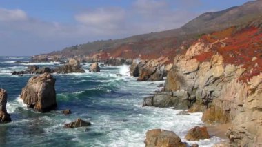 Pasifik Okyanusu Garrapata Eyalet Parkı 'nda Kaliforniya' nın merkez kıyısı boyunca, ABD, 2018