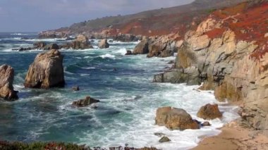 Pasifik Okyanusu Garrapata Eyalet Parkı 'nda Kaliforniya' nın merkez kıyısı boyunca, ABD, 2018