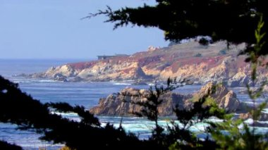 Pasifik Okyanusu Garrapata Eyalet Parkı 'nda Kaliforniya' nın merkez kıyısı boyunca, ABD, 2018