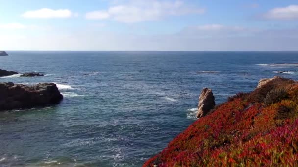 Océano Pacífico Parque Estatal Garrapata Largo Costa Central California 2018 — Vídeos de Stock