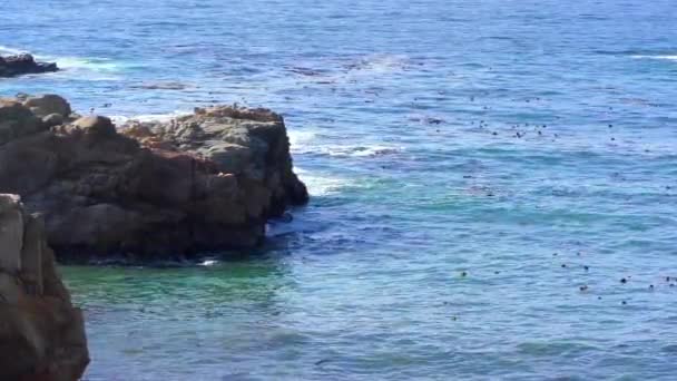 Stille Oceaan Bij Garrapata State Park Langs Central Coast Van — Stockvideo