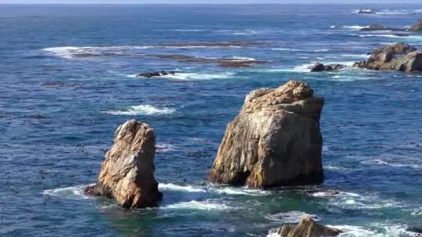 Océan Pacifique Garrapata State Park Long Côte Centrale Californie États — Video