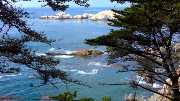カリフォルニア州カーメル ハイランドにあるポイント ロボス州立自然保護区の波がある素晴らしいターコイズブルーの水 太平洋の眺め — ストック動画