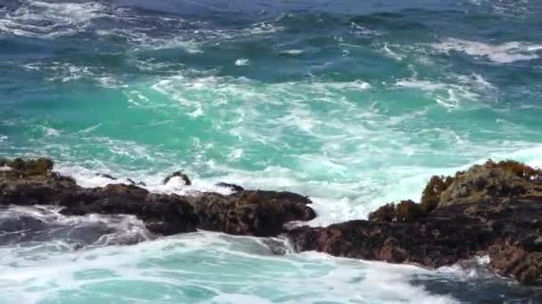 Удивительная Бирюзовая Вода Волнами Природного Заповедника Штата Пойнт Лобос Кармел — стоковое видео
