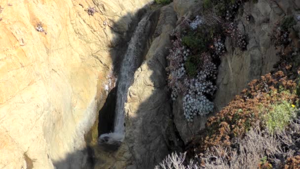 Wasserfall Garrapata State Park Usa 2018 — Stockvideo