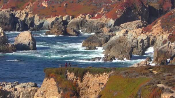 Pacific Ocean Garrapata State Park California Central Coast Usa 2018 — Stock video