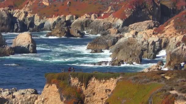 Ocean Spokojny Parku Stanowym Garrapata Wzdłuż Wybrzeża Kalifornii Usa 2018 — Wideo stockowe