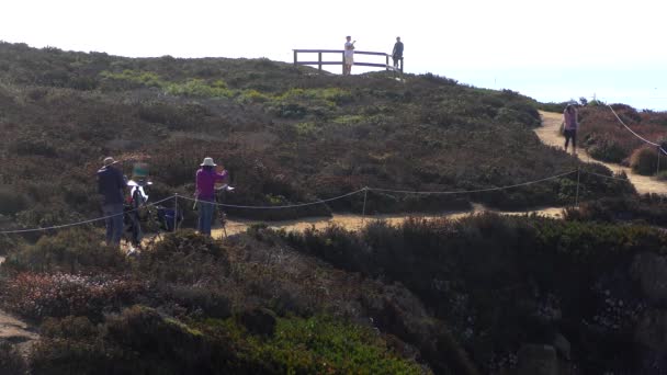 Oidentifierade Konstnärer Vid Stilla Havet Garrapata State Park Längs Kaliforniens — Stockvideo