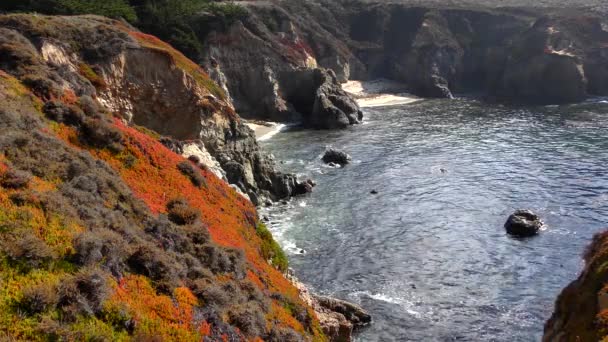 カリフォルニア州中央海岸に沿ったガラパタ州立公園の太平洋 2018年 — ストック動画