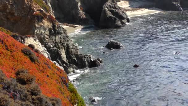 Stille Oceaan Bij Garrapata State Park Langs Central Coast Van — Stockvideo