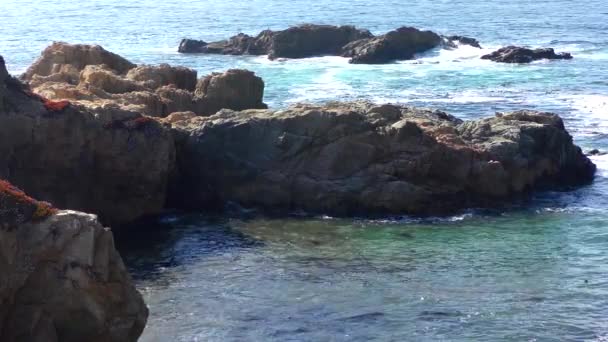 Océan Pacifique Garrapata State Park Long Côte Centrale Californie États — Video