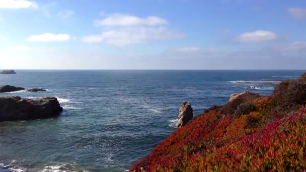 Oceano Pacifico Garrapata State Park Lungo Costa Centrale Della California — Video Stock