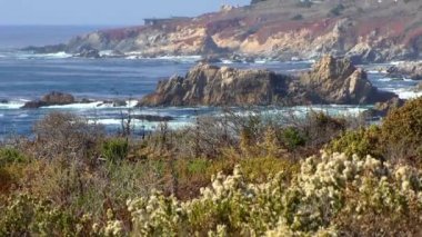 Pasifik Okyanusu Garrapata Eyalet Parkı 'nda Kaliforniya' nın merkez kıyısı boyunca, ABD, 2018