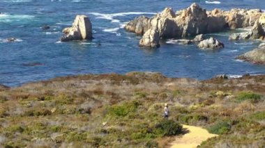 Pasifik Okyanusu Garrapata Eyalet Parkı 'nda Kaliforniya' nın merkez kıyısı boyunca, ABD, 2018