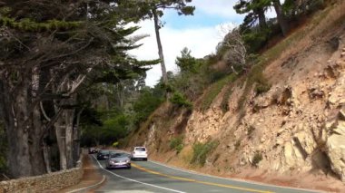 Kaliforniya 'nın merkez sahili boyunca Garrapata State Park Bluff Trail' de trafik var.
