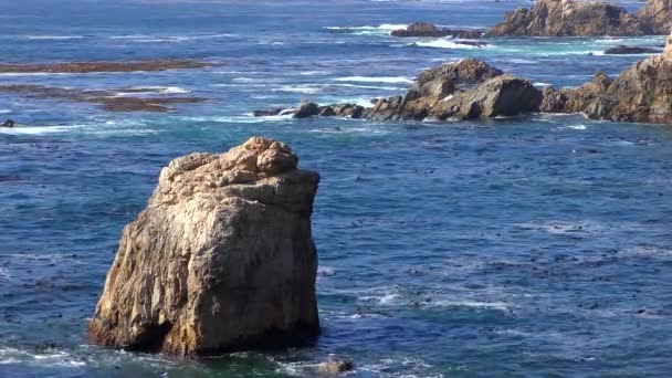 Stilla Havet Vid Garrapata State Park Längs Kaliforniens Centralkust Usa — Stockvideo