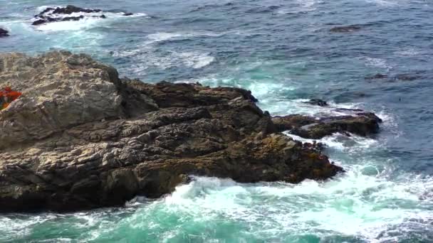 Carmel Highlands Kaliforniya Daki Point Lobos State Doğal Rezervi Nden — Stok video