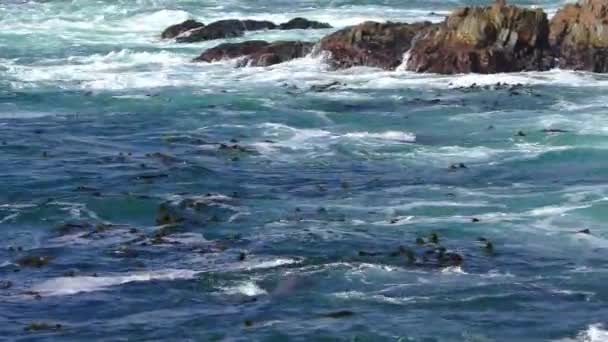Тихий Океан Парку Штату Гаррапата Вздовж Центрального Узбережжя Каліфорнії Сша — стокове відео