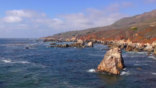 Oceano Pacifico Garrapata State Park Lungo Costa Centrale Della California — Video Stock