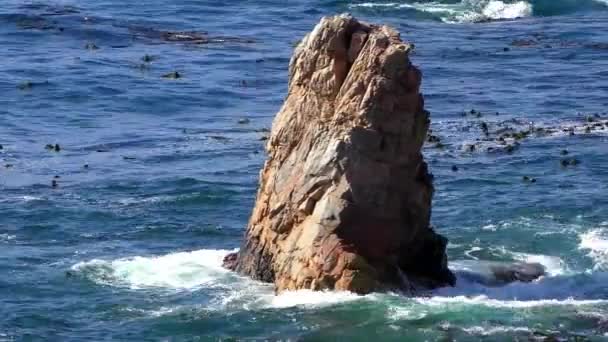 2018 Pacific Ocean Garrapata State Park Californias Central Coast Usa — 비디오