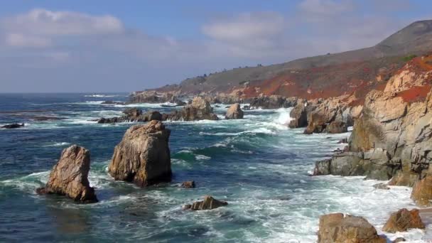 Oceano Pacifico Garrapata State Park Lungo Costa Centrale Della California — Video Stock